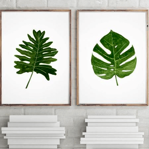 planta_02