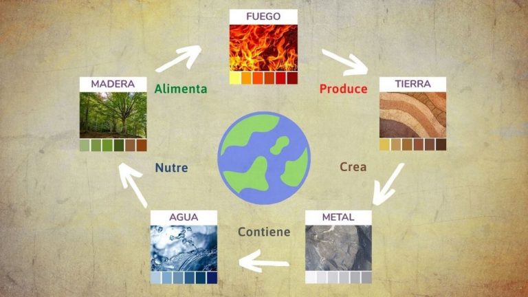 Lee más sobre el artículo La base de los 5 elementos en Feng Shui