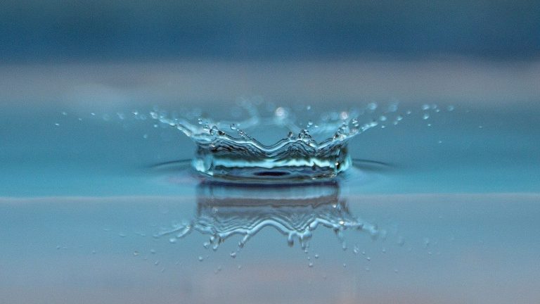 Lee más sobre el artículo Elemento Agua: La energía del movimiento