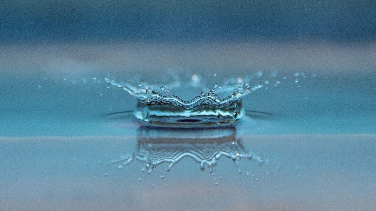 Lee más sobre el artículo Elemento Agua: La energía del movimiento