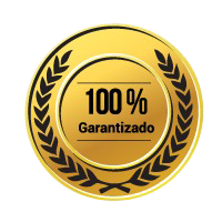 100 garantizado